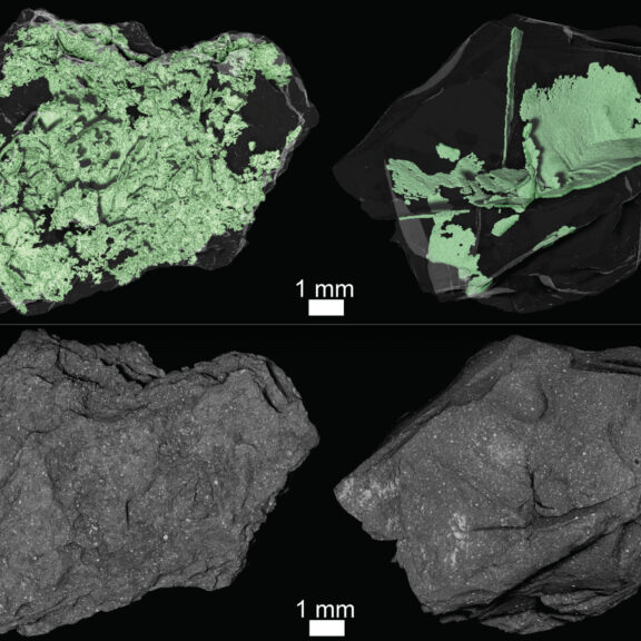 Bennu fractures interior and exterior